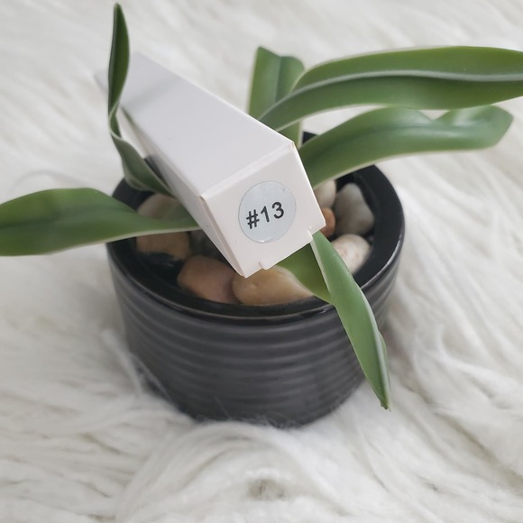 TASH Cosmetics Blue Lip Gloss #13 Gold Top - Picture 2 of 3